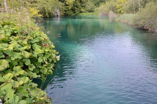 Burgeti Lakes