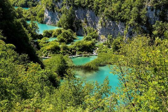 The Lower Lakes
