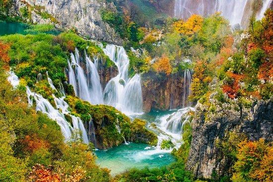Lineaverde Travel Agency